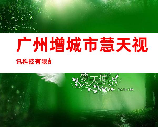 广州增城市慧天视讯科技有限公司